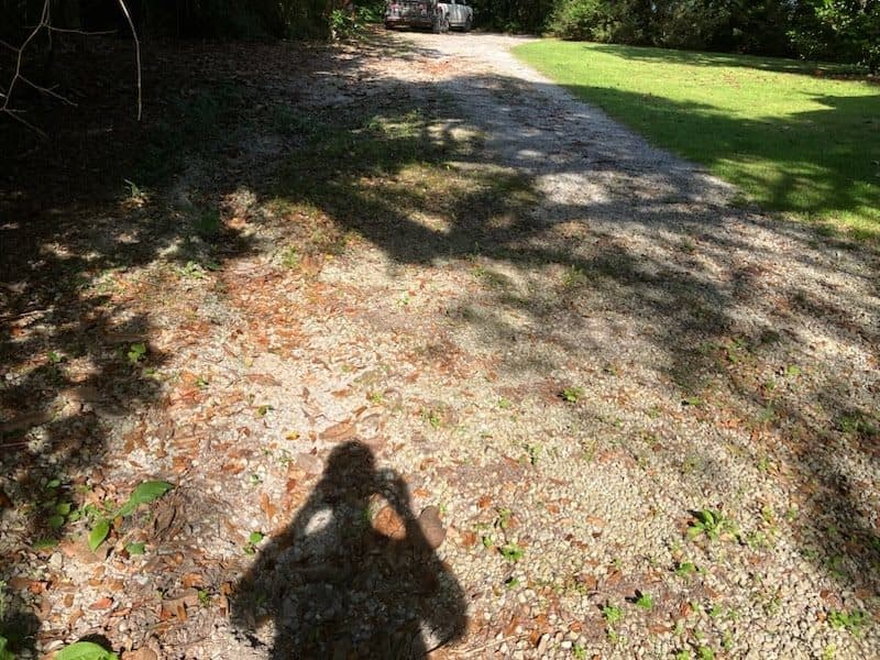 Before residential driveway gravel refresh with thin worn coverage.