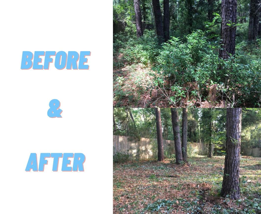 Land Clearing & Demo