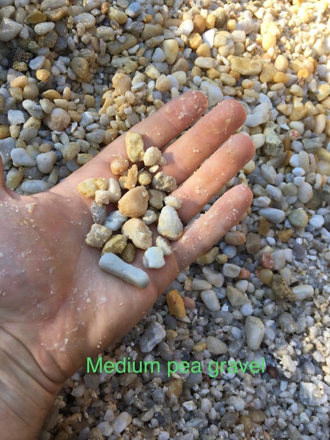 Medium pea gravel held in gloved hand showing size and texture