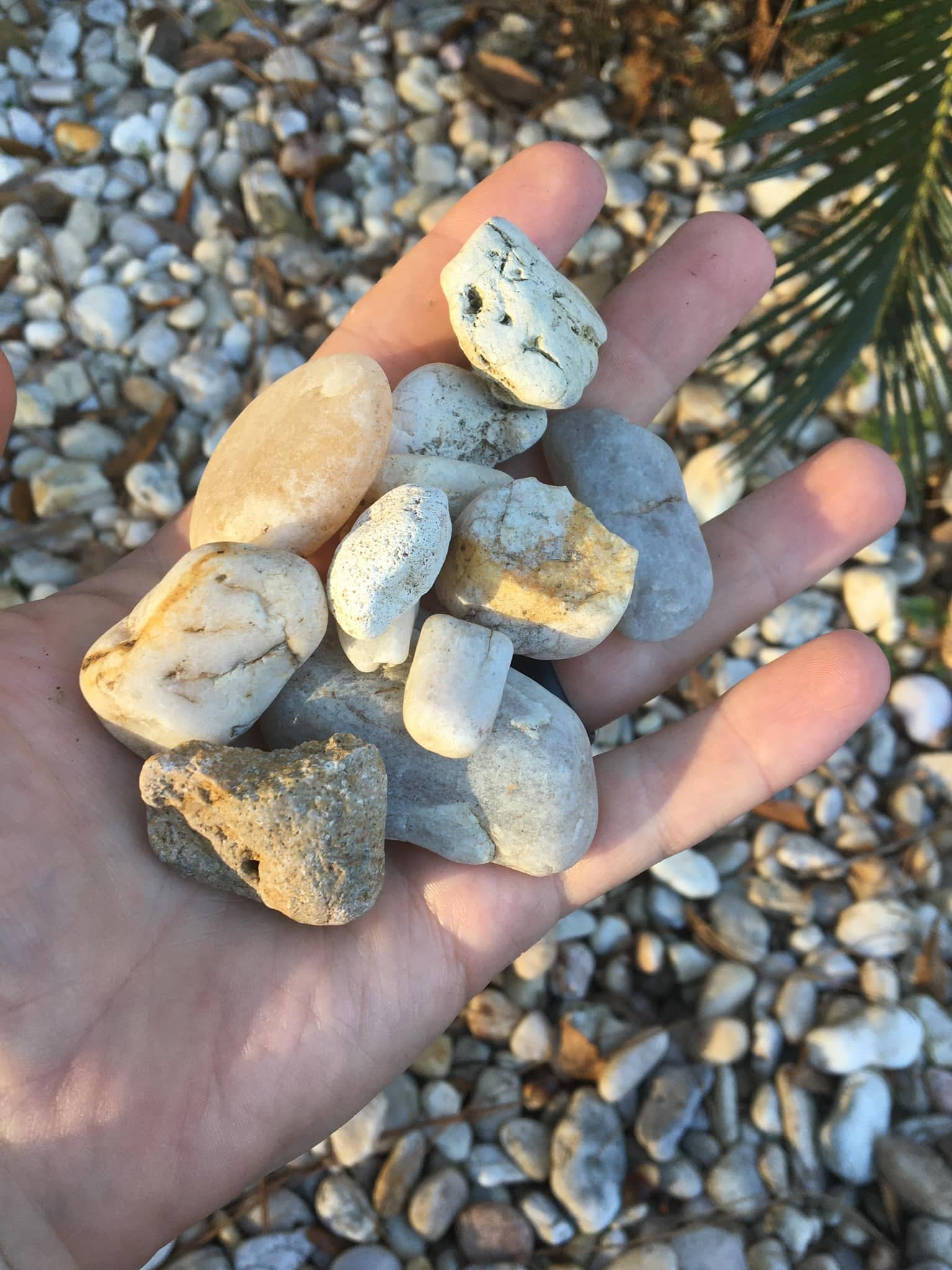 White river rock for decorative landscape beds